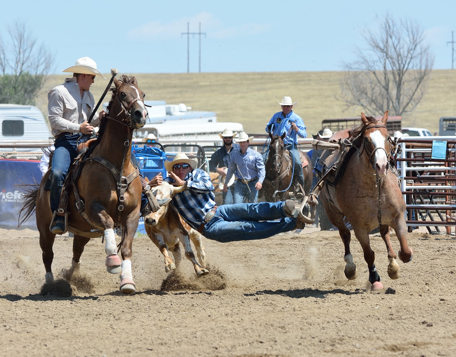 cattle wrangler at the Lincoln County Fair