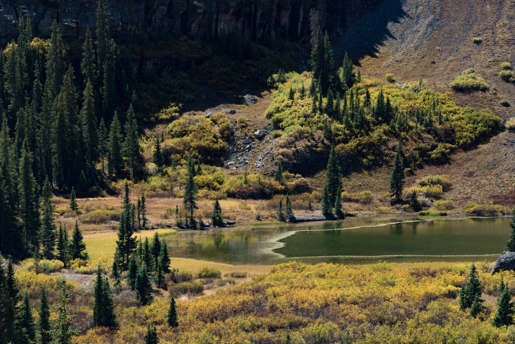 lower ice lake near silverton