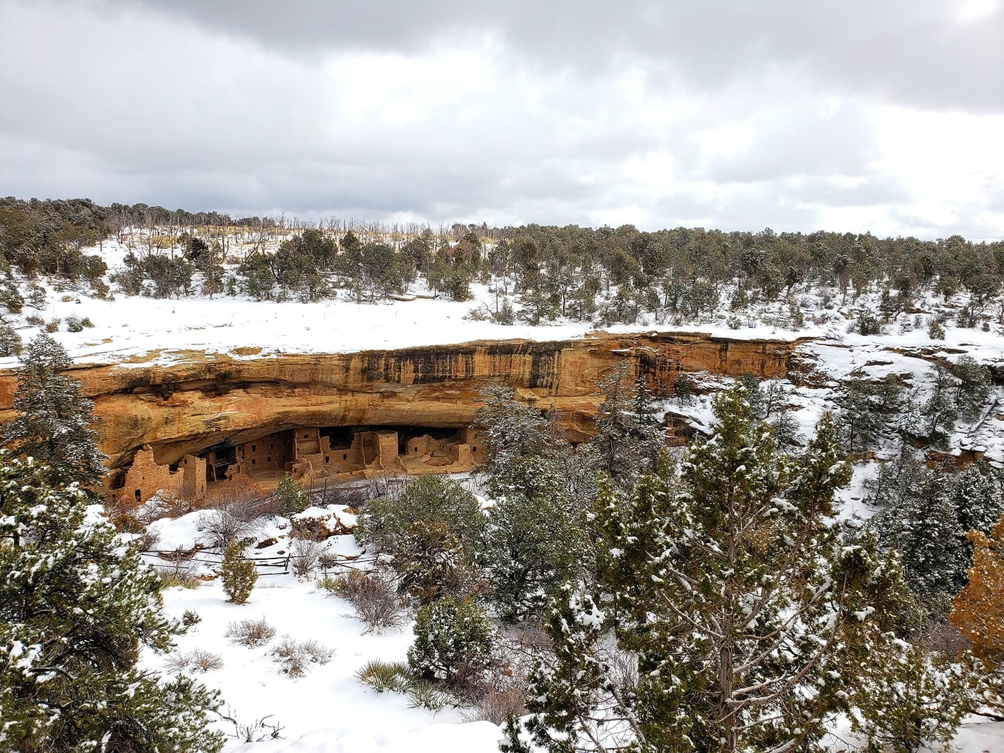 mesa verde national park spruce tree park winter