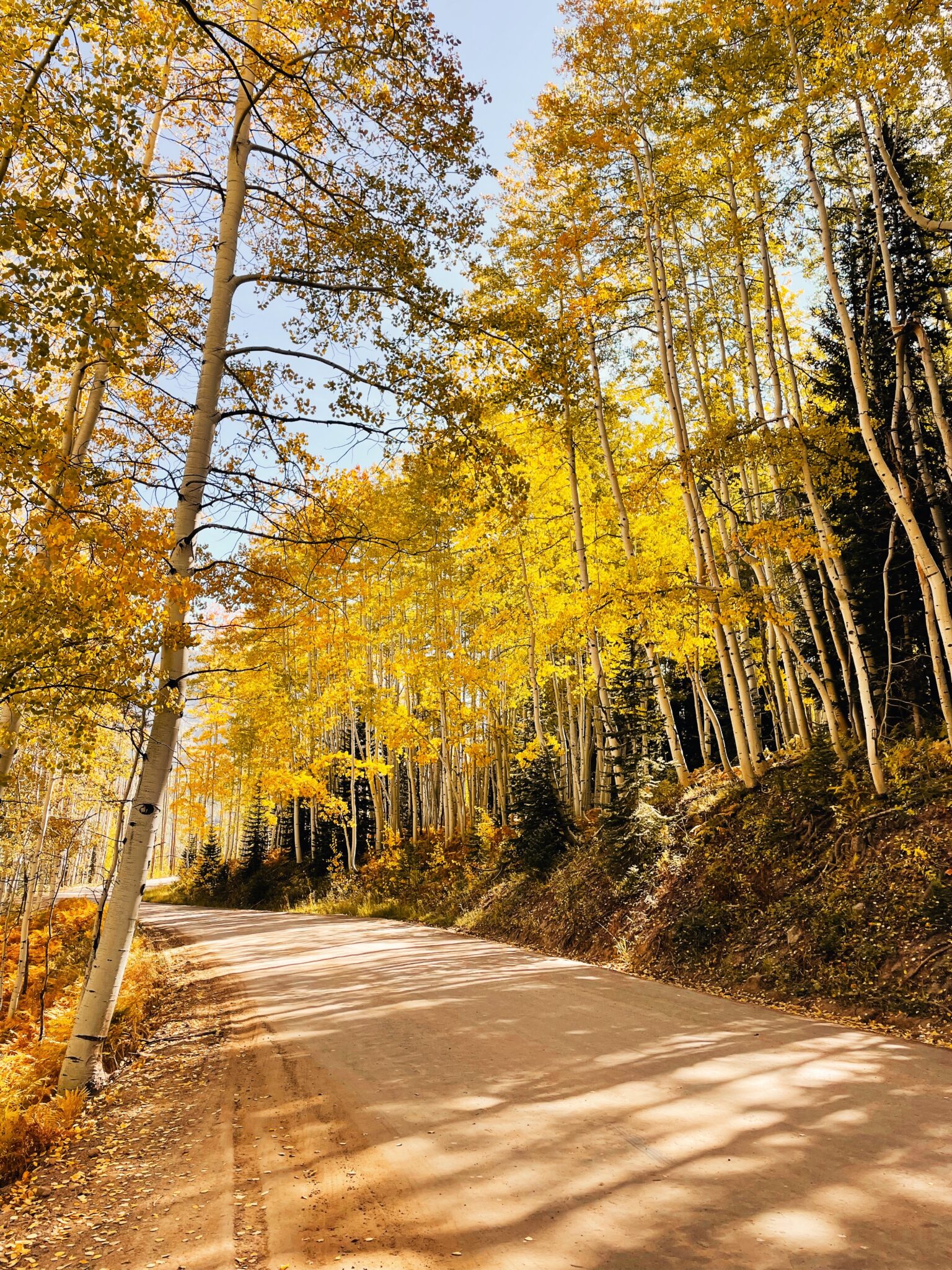 driving along kebler pass