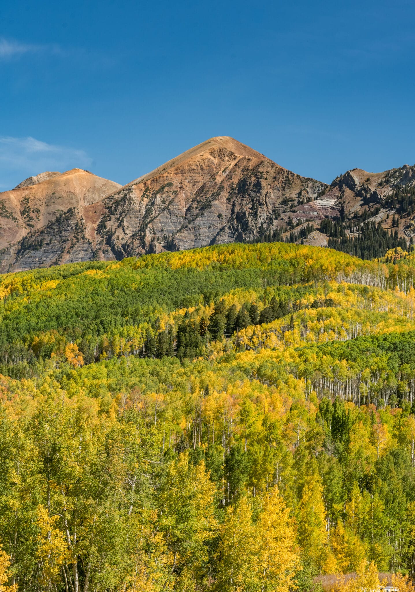 early in the season for fall colors along Kebler pass