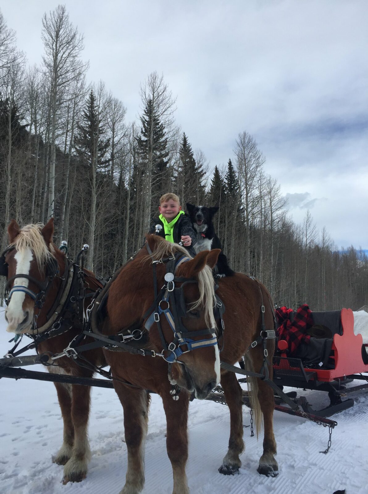 Image of a child on a horse at Buck's Livery in Durango, Colorado