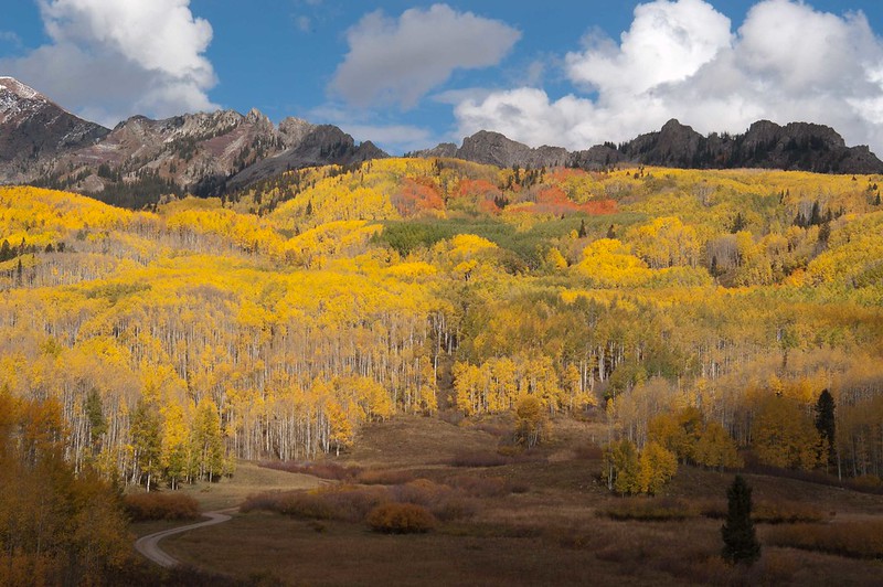fall colors at kebler pass near crested butte