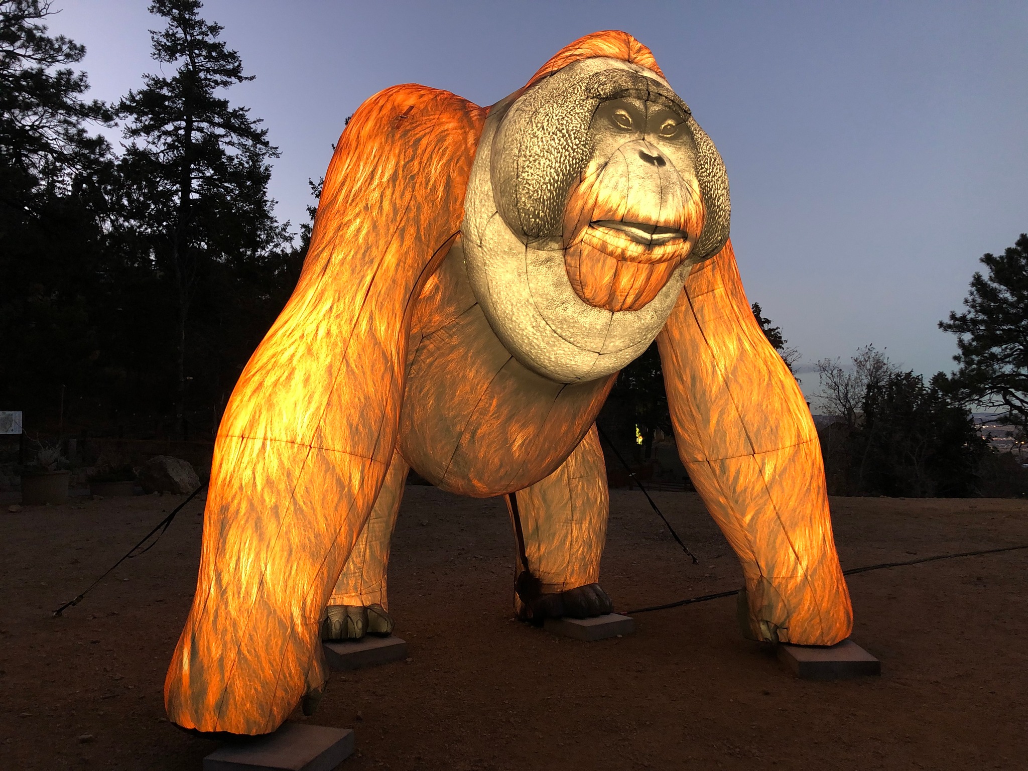 illuminated inflatable animals at Cheyenne Mountain zoo