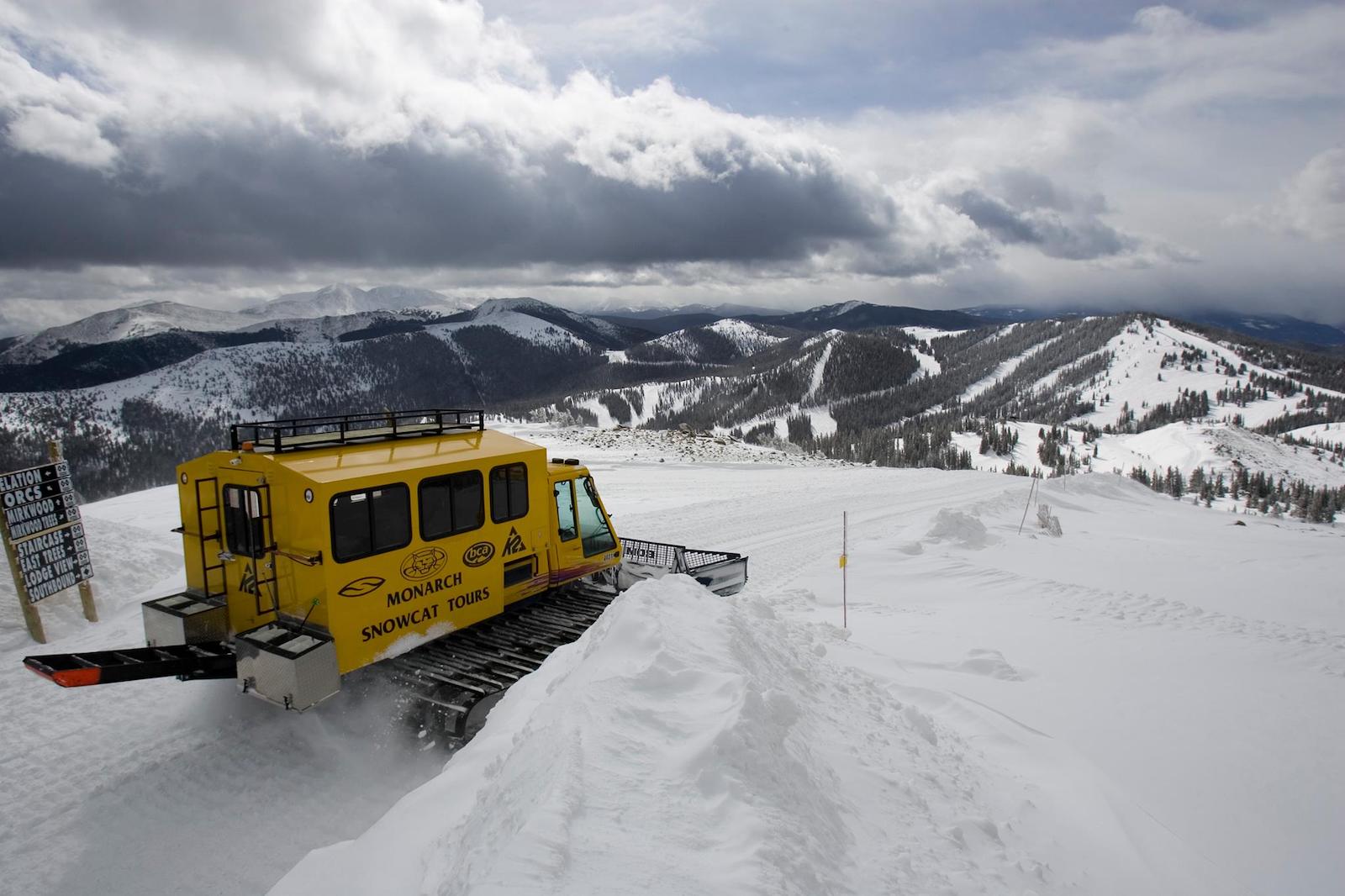 Image of the cat from Monarch Catskiing in Colorado