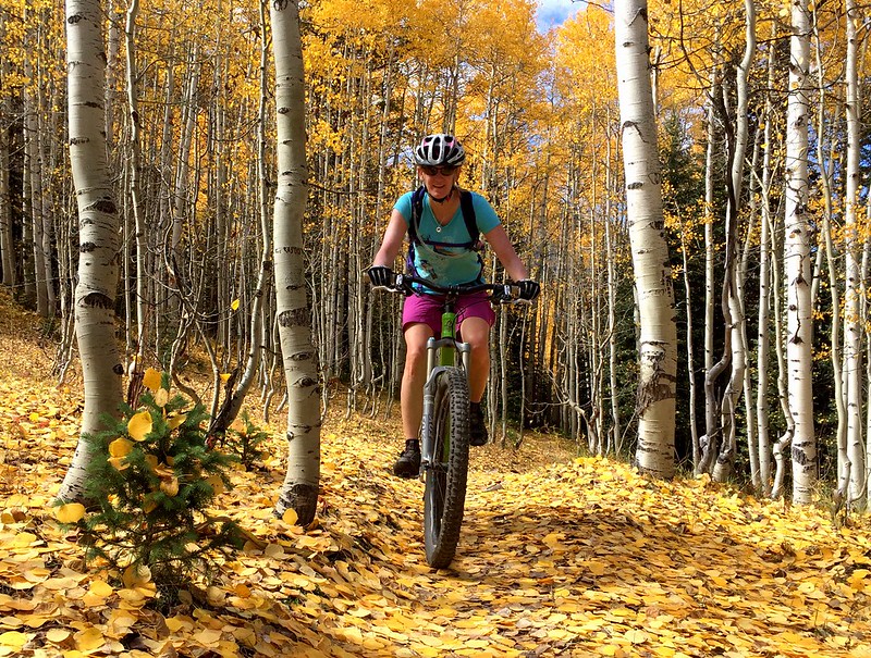 mountain biking in the fall near crested butte