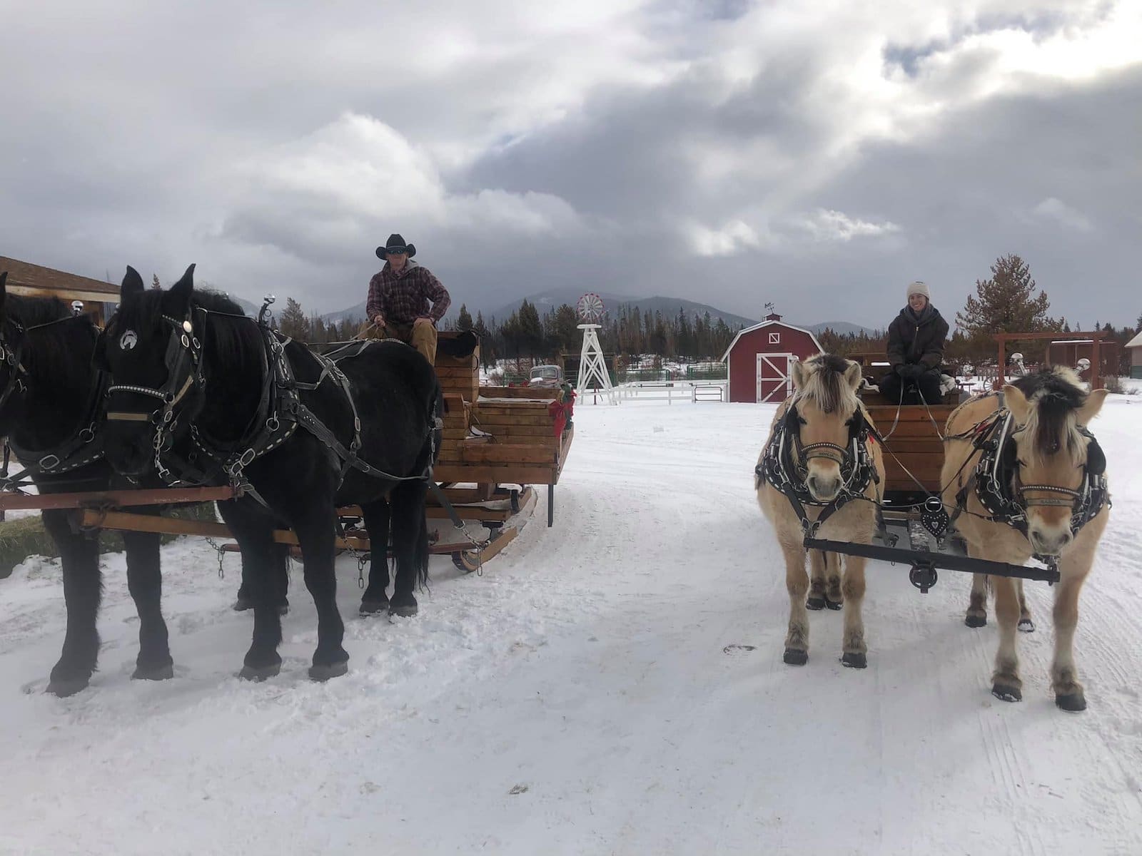 Image of people driving sleighs at Winding River Resort in Colorado