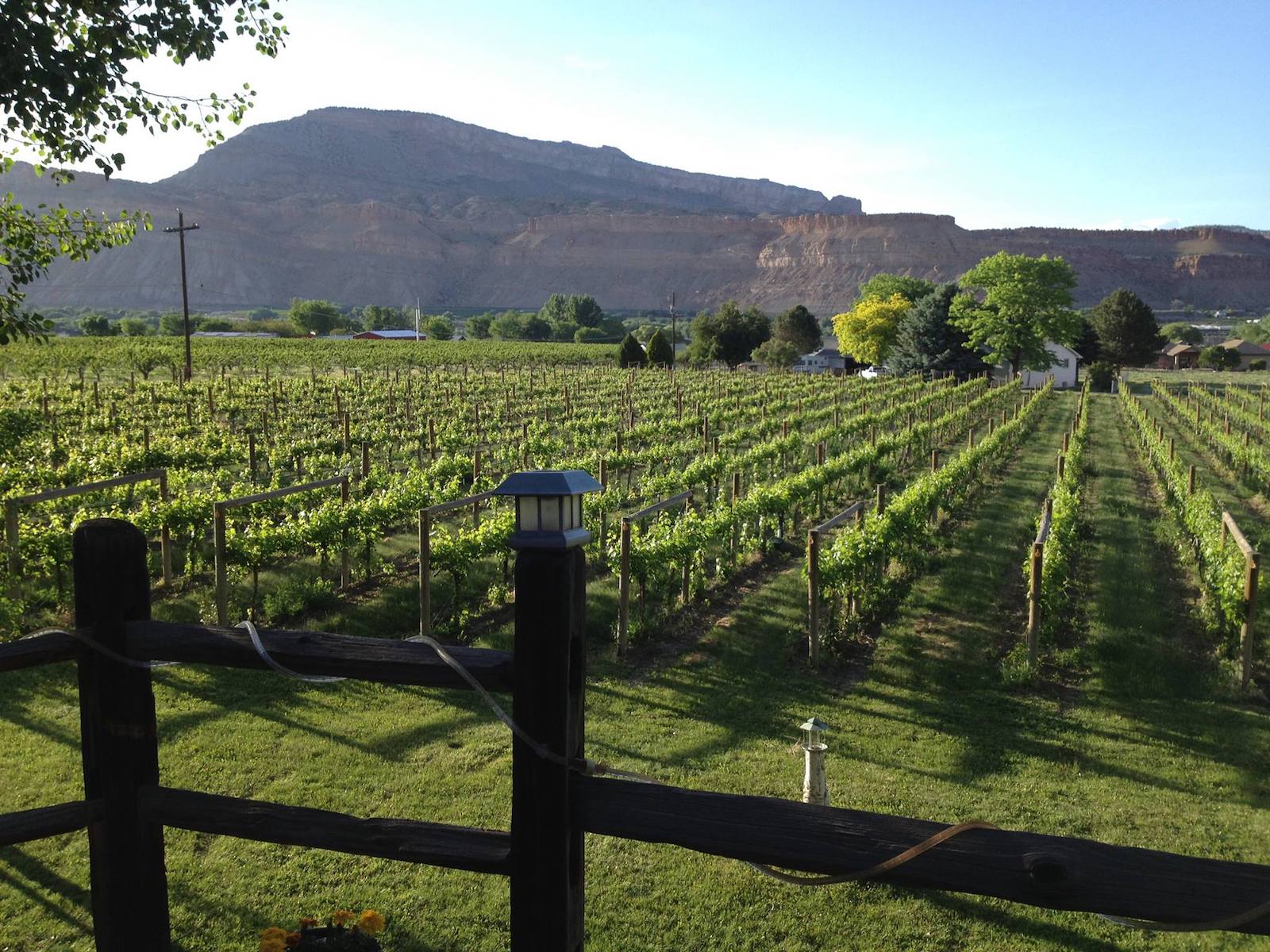 BookCliff Vineyards, CO