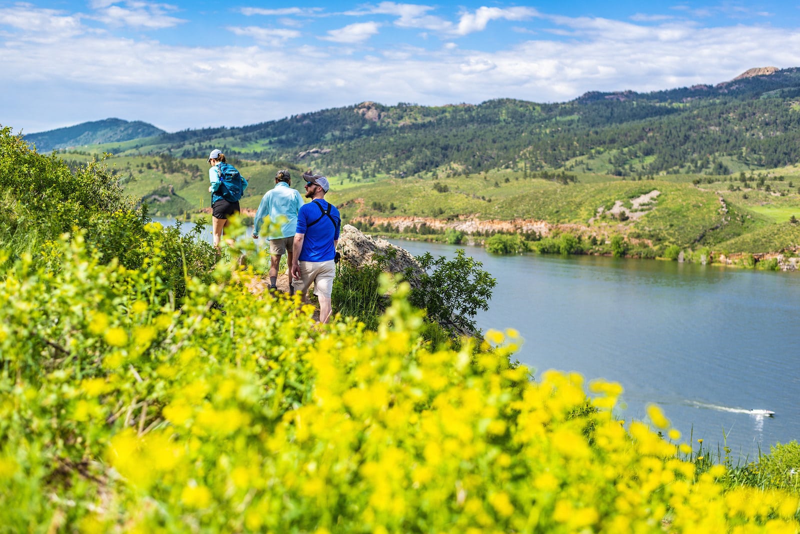 Hiking bulan Juni di Rotary Park, Fort Collins, CO