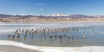 McIntosh lake in Longmont, Colorado