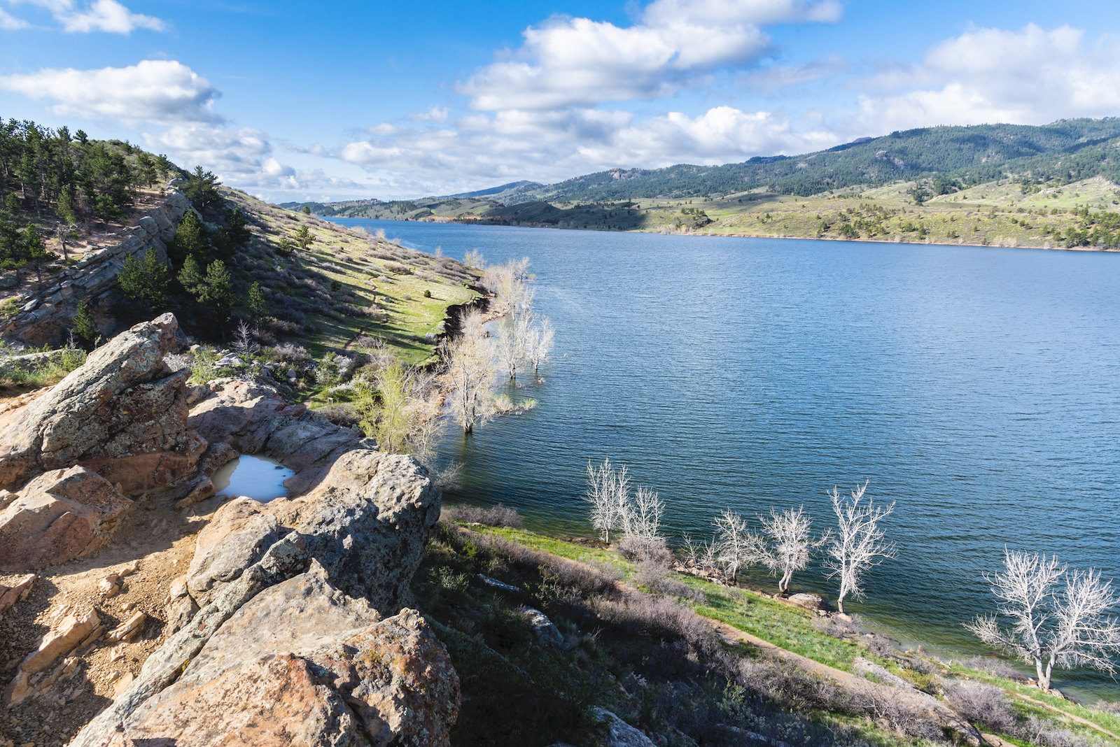 Rotary Park Open Space, Fort Collins, Colorado