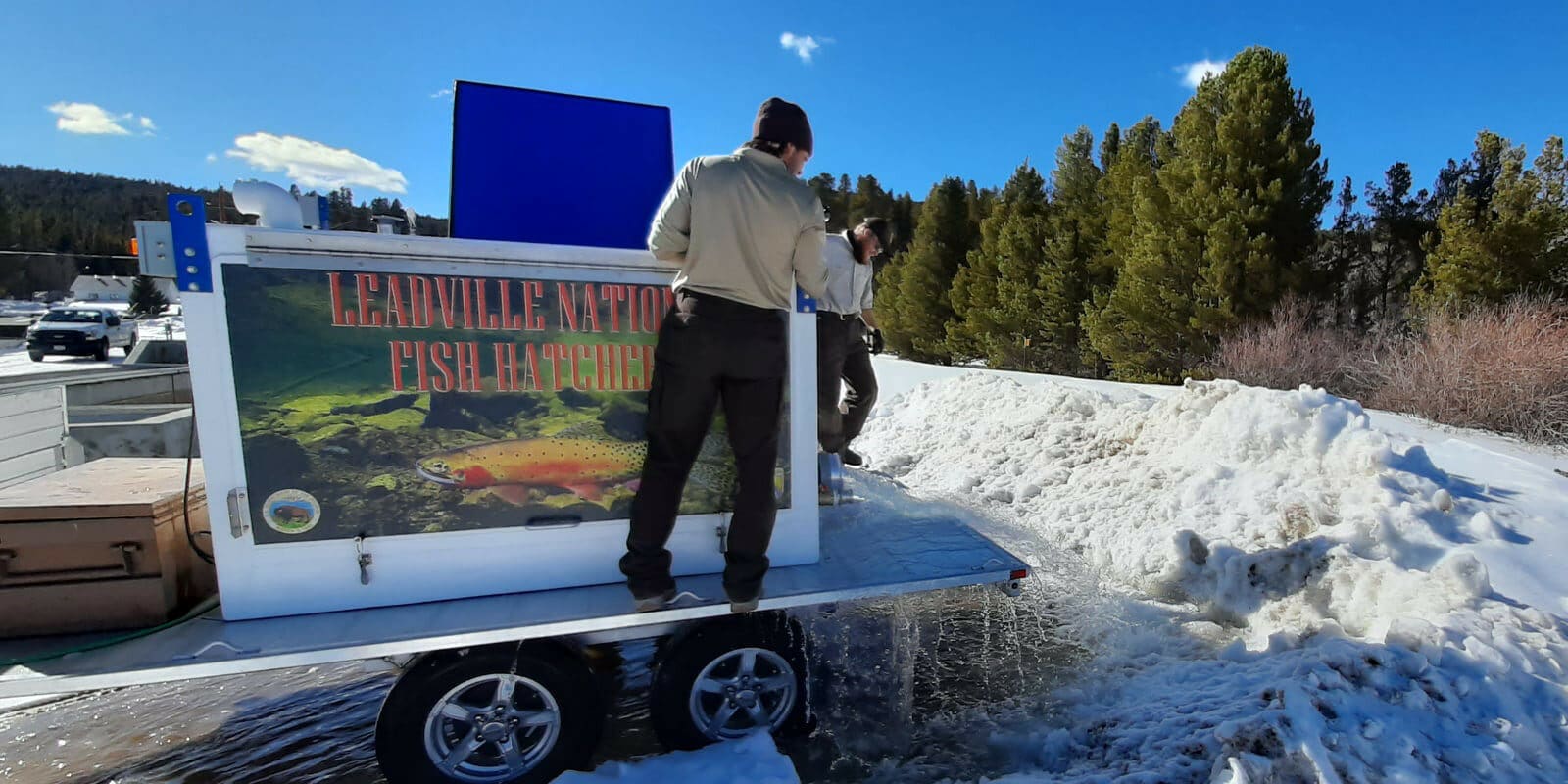 Image of people working for Leadville National Fish Hatchery in Colorado