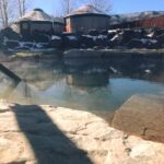 Image of Orvis Hot Springs pool in Ridgway, Colorado