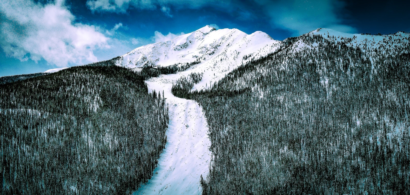 Image of the Silent Bob Avalanche in Colorado