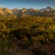 Golden hues on the Dallas Divide, an impressive and jagged line of mountains between Telluride and Ouray, Colorado.