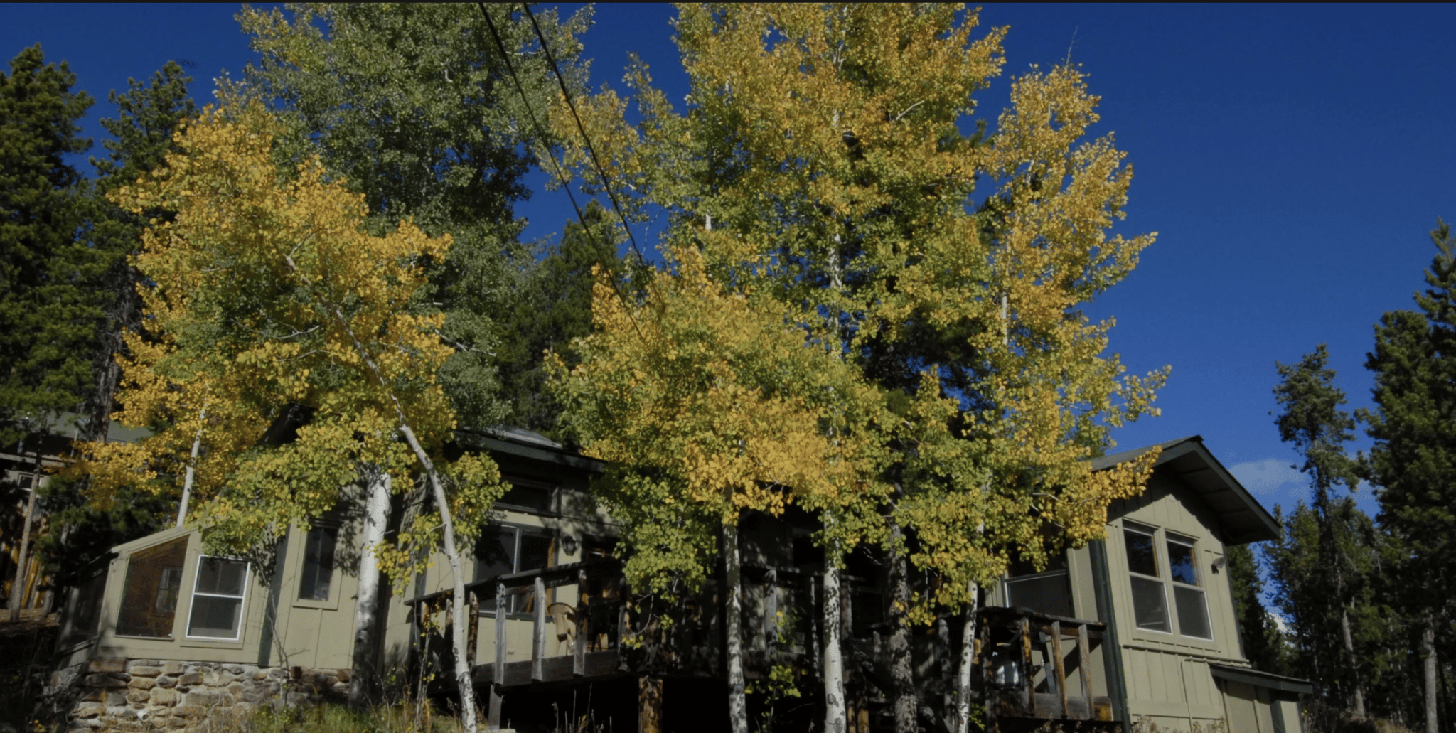 Log cabin with large trees surrounding it