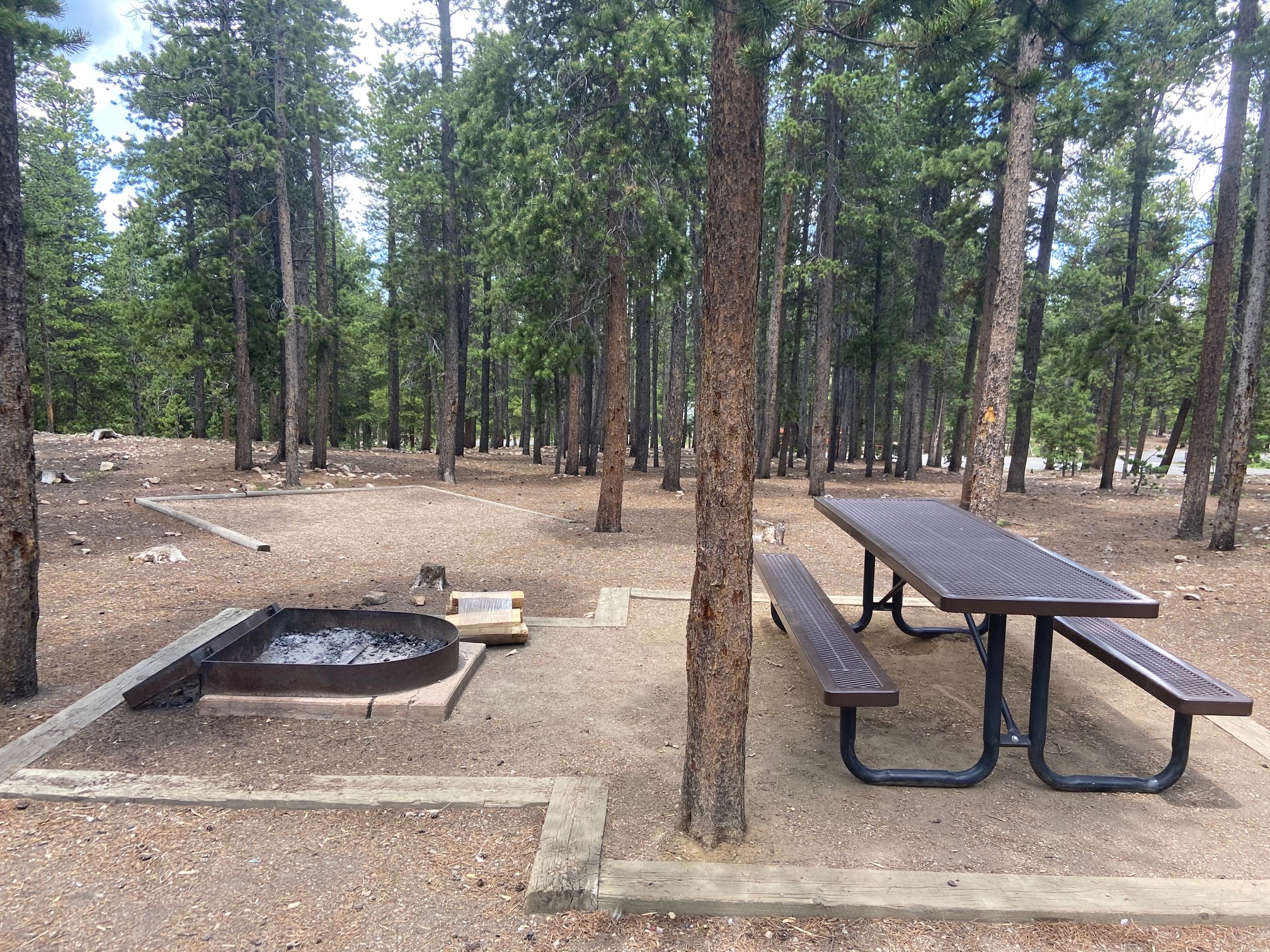 Colorado Campground Fire Ring Wood