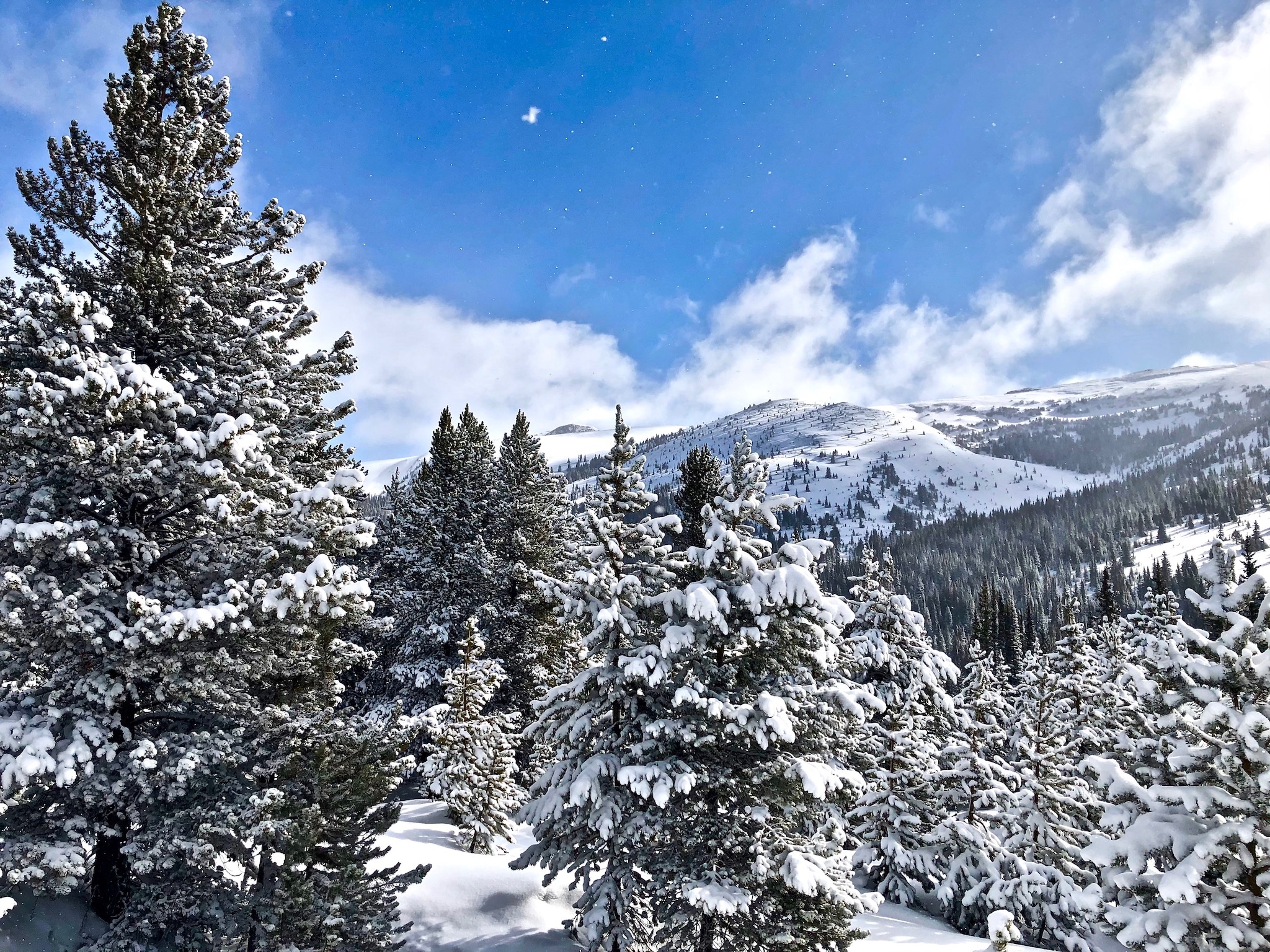 Colorado High Country Snow