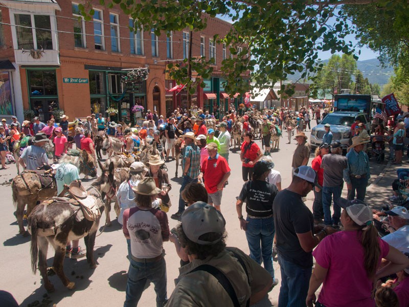 Crowd of people and donkeys