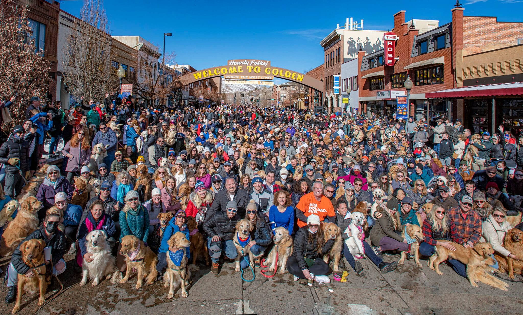 Golden retriever parade in Golden