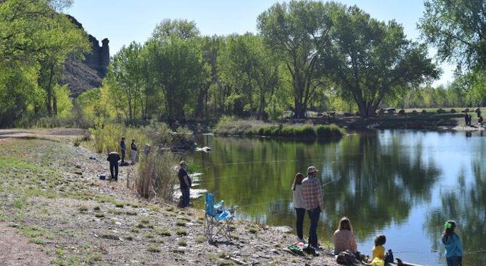 People standing near a fishing pond