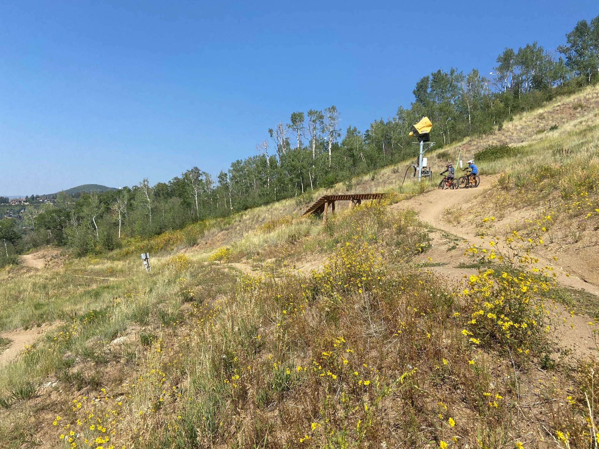 Steamboat Ski Resort Bike Park