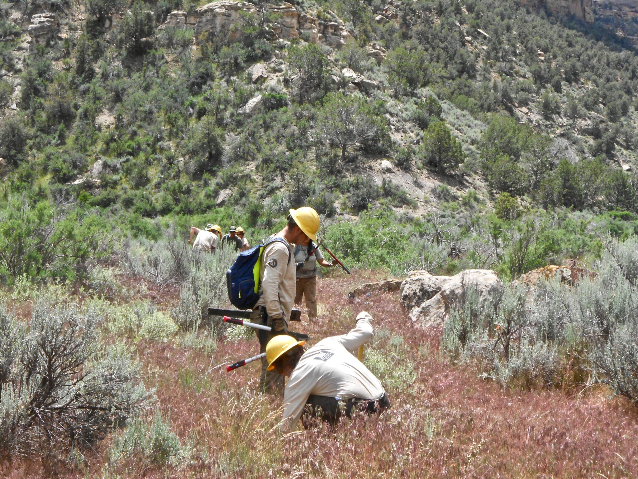 A trail crew cutting new tread in a remote part of Mesa Verde National Park.