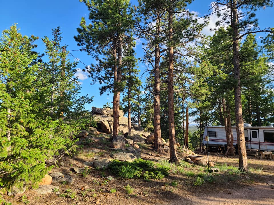 Campsites in the forest