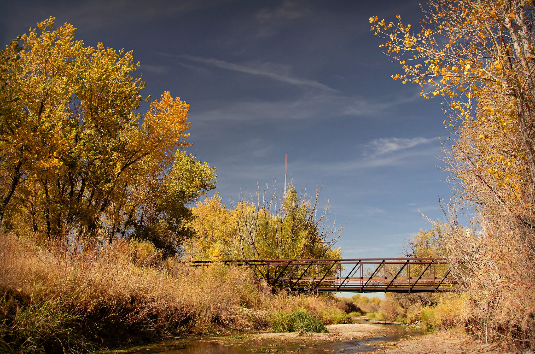 Trail along Cherry Creek