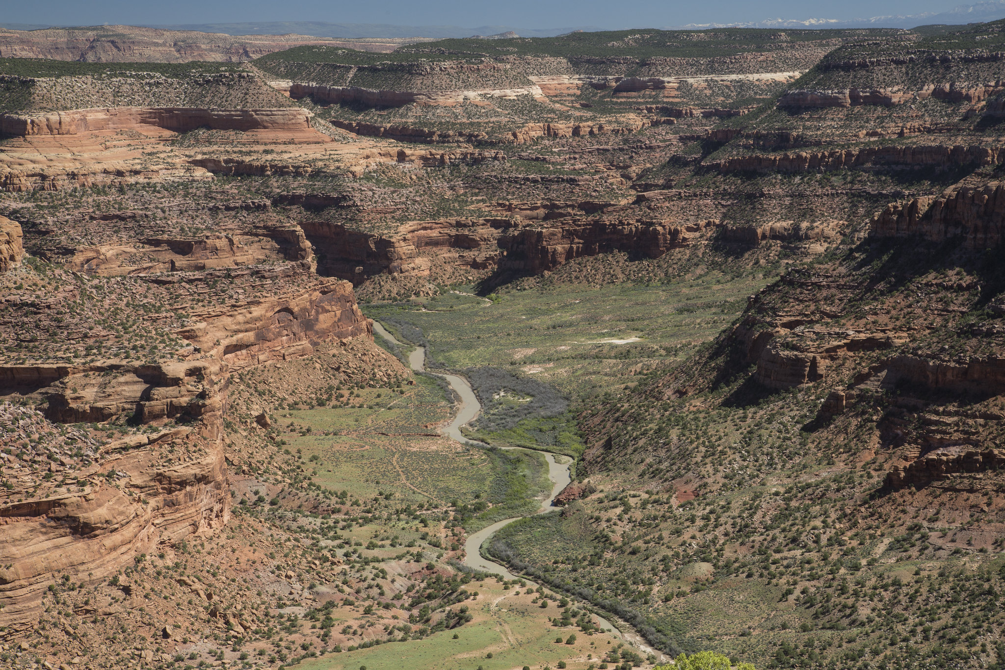 Dolores river canyon