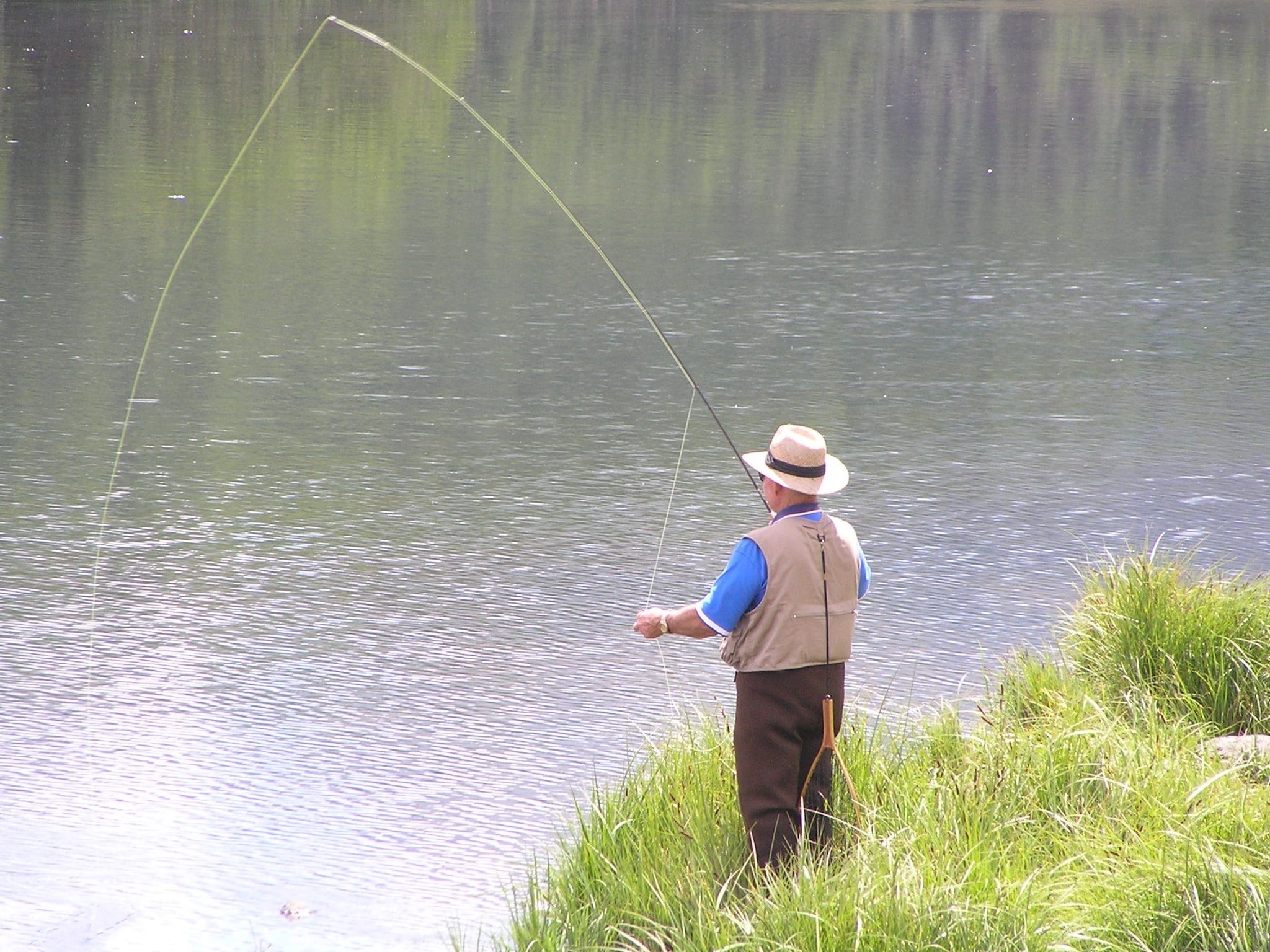 A fly fisherman casting his line in the Rio Grande National Forest.