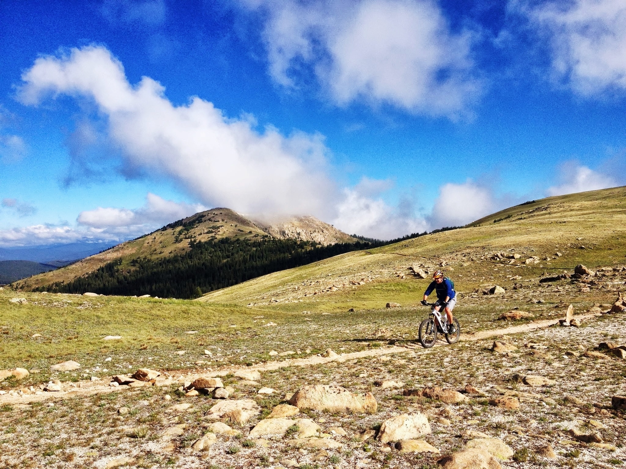 A mountain biker on an alpine portion of the Monarch Crest Trail.