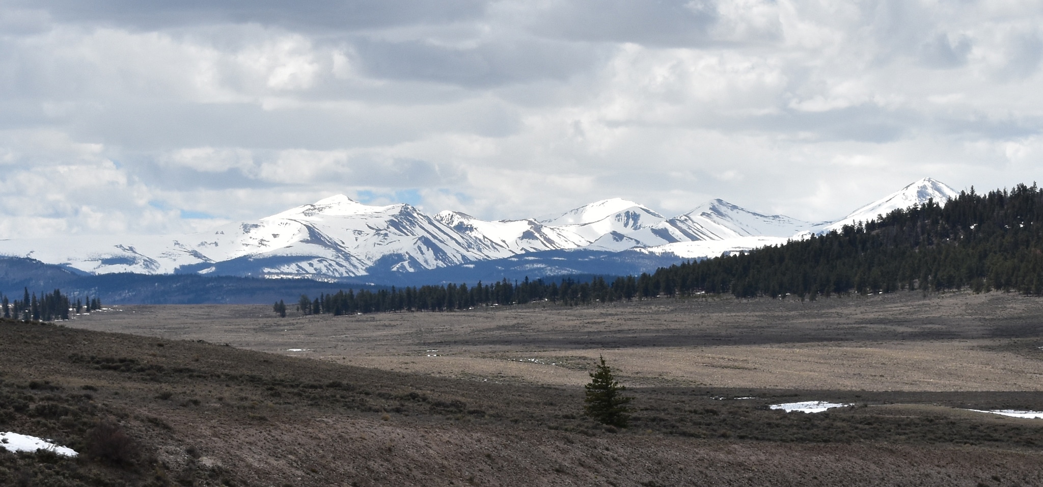 Snow-capped peaks in the background and rolling subalpine meadows below on the way to North Pass, Colorado.