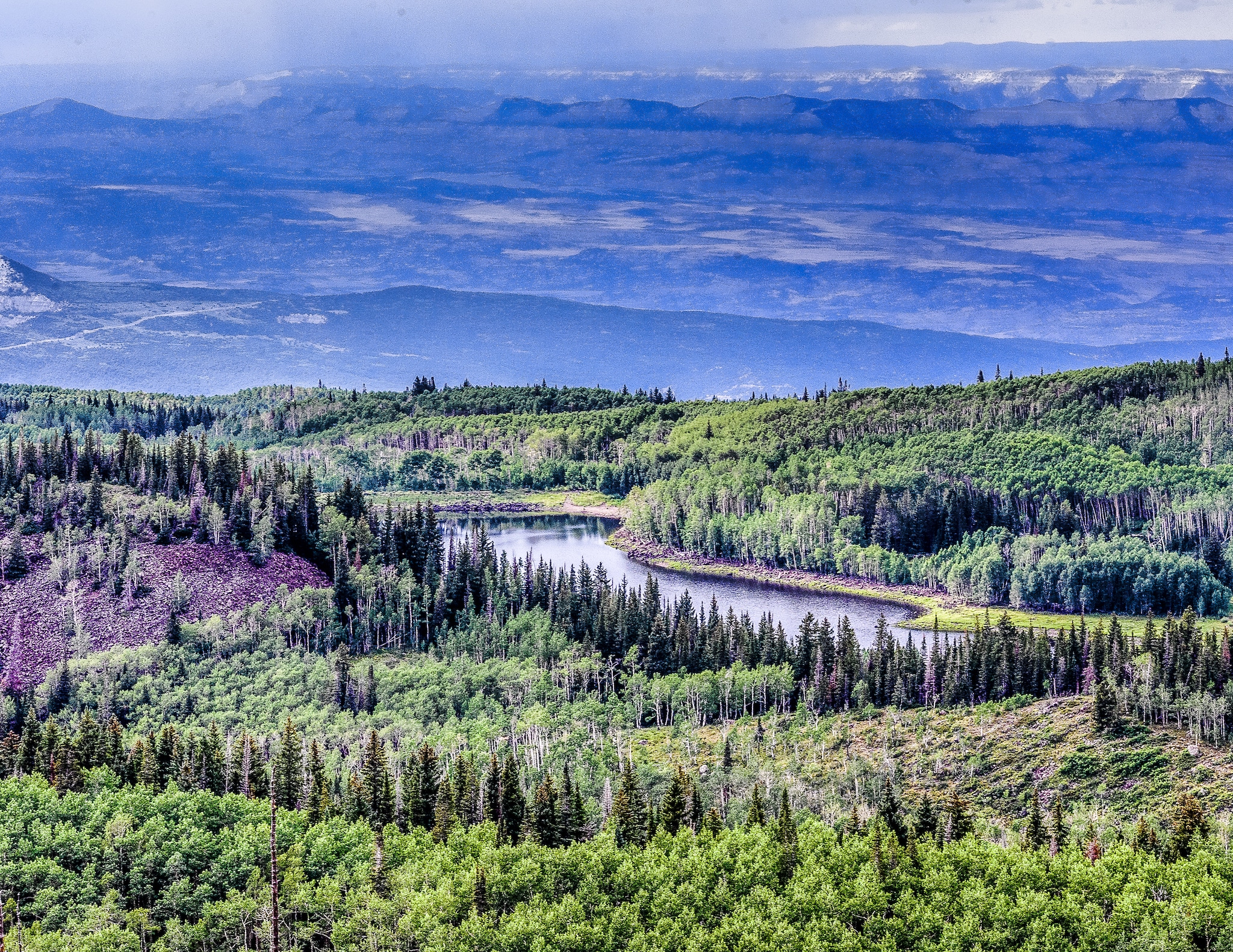 A small lake, tucked between rows of aspens atop the largest flat top mountain in the world.