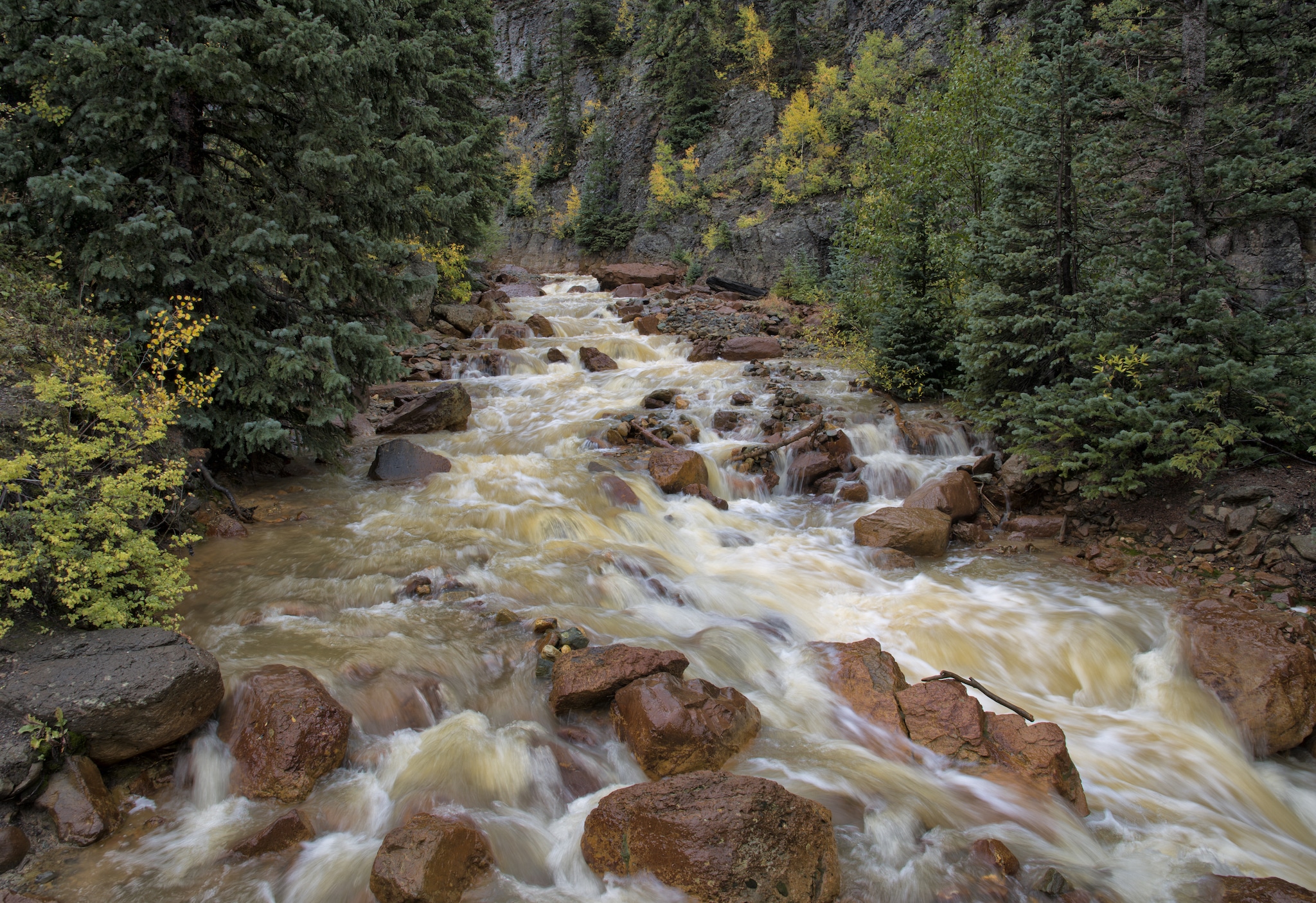 Rain fueled Red Mountain Creek as it thunders through the San Juans.