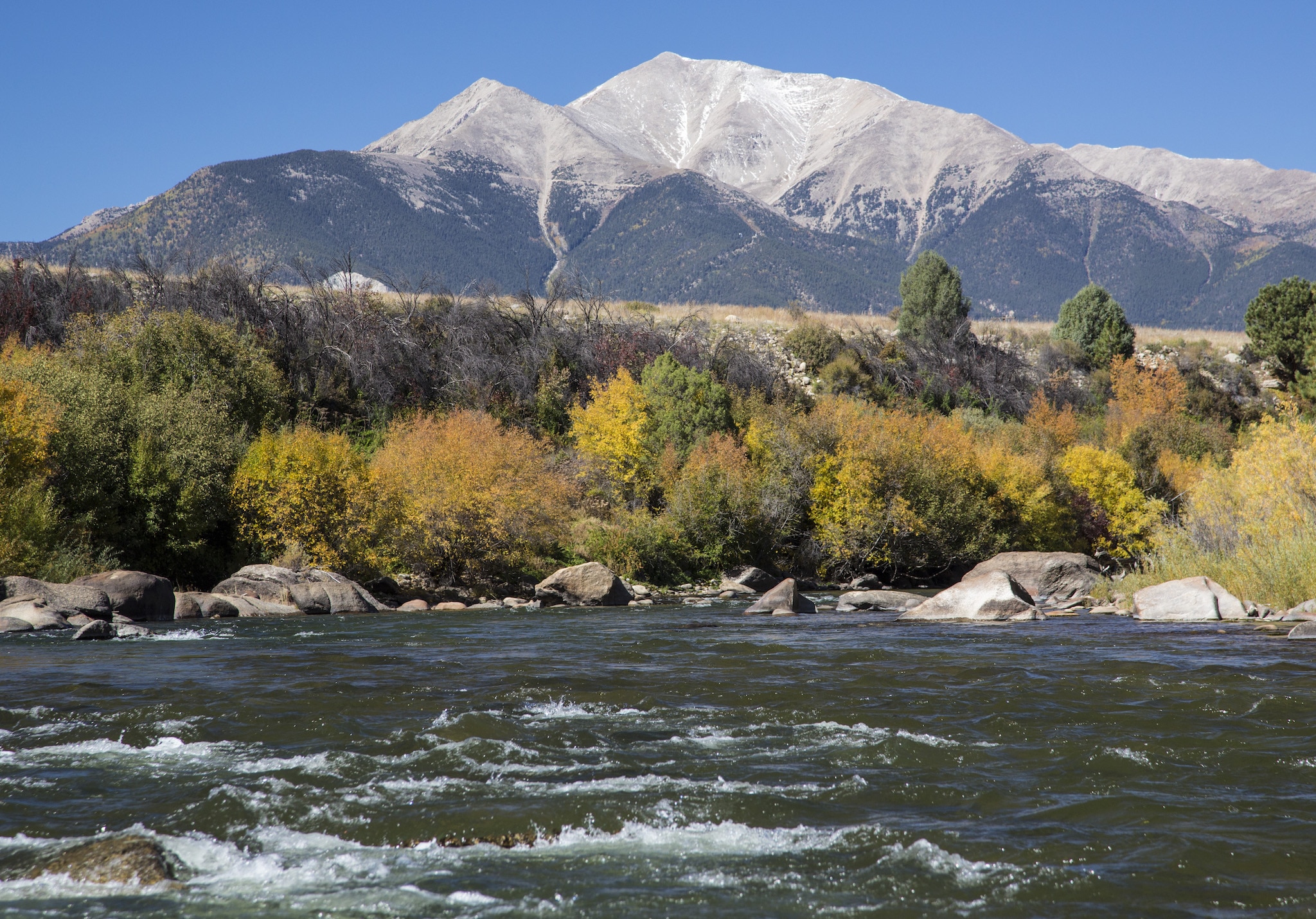 The rushing Arkansas River with towering 14,000 foot mountains behind it.