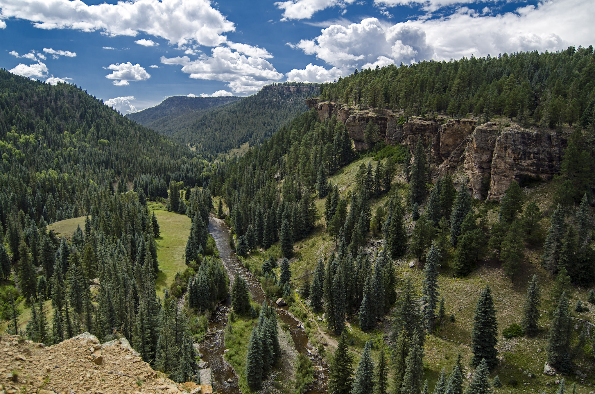 Looking down at a mountain river between green mesas with steep sides and dense tree cover along their tops.