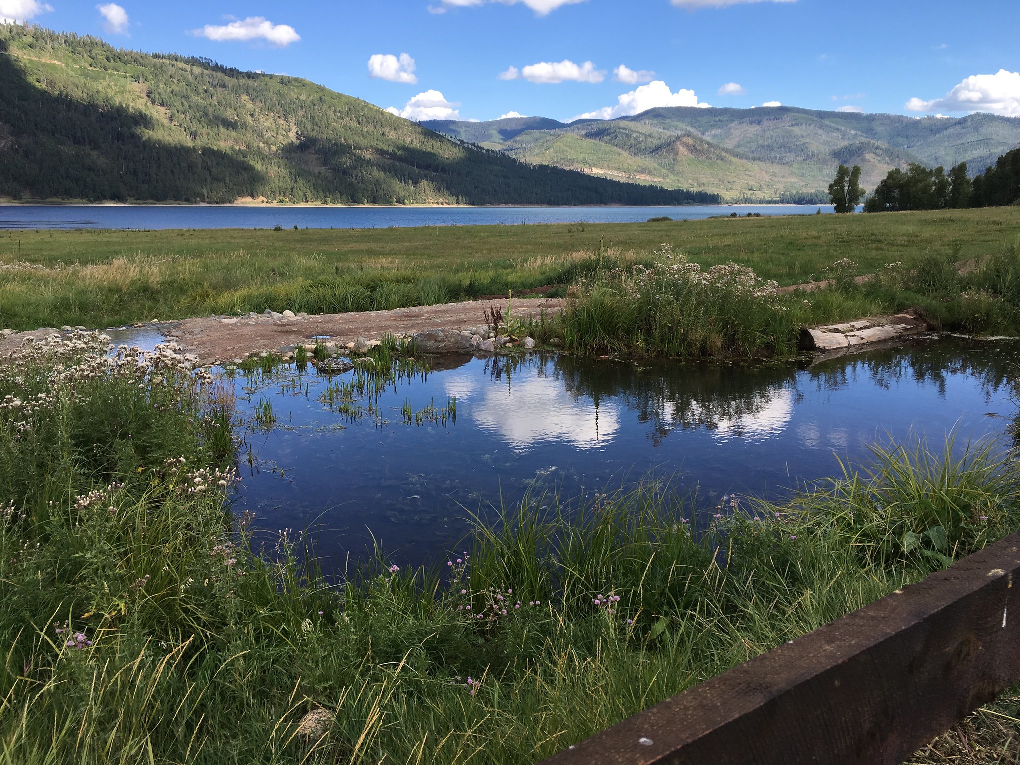 Lake on a sunny day