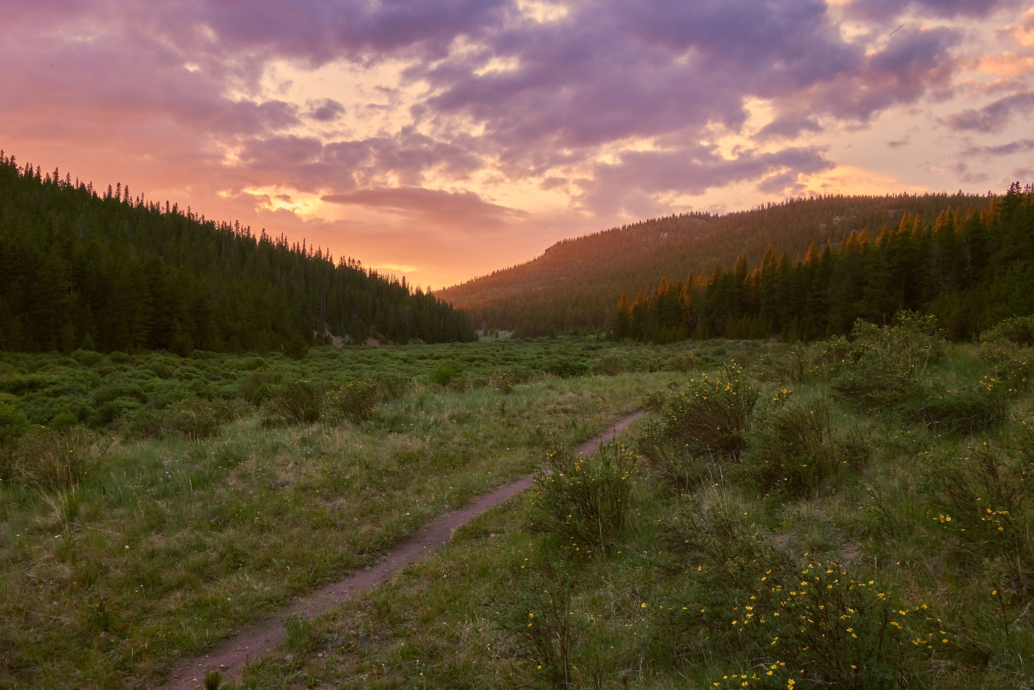 Pink, orange and purple skies at sunset in the Lost Creek Wilderness with a lone trail and a deep green meadow between treed hillsides.