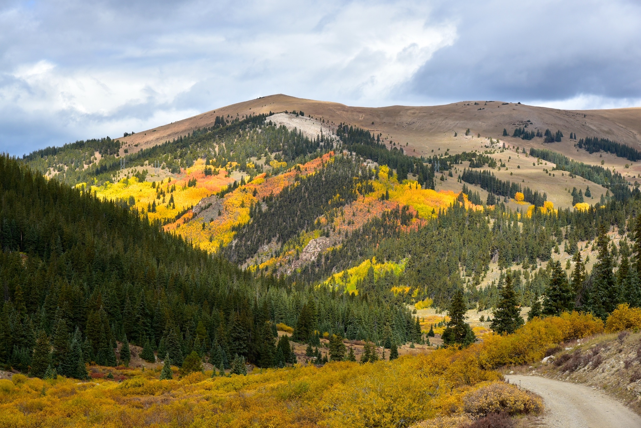 Fall foliage along the high-alpine Weston Pass Road in central Colorado.