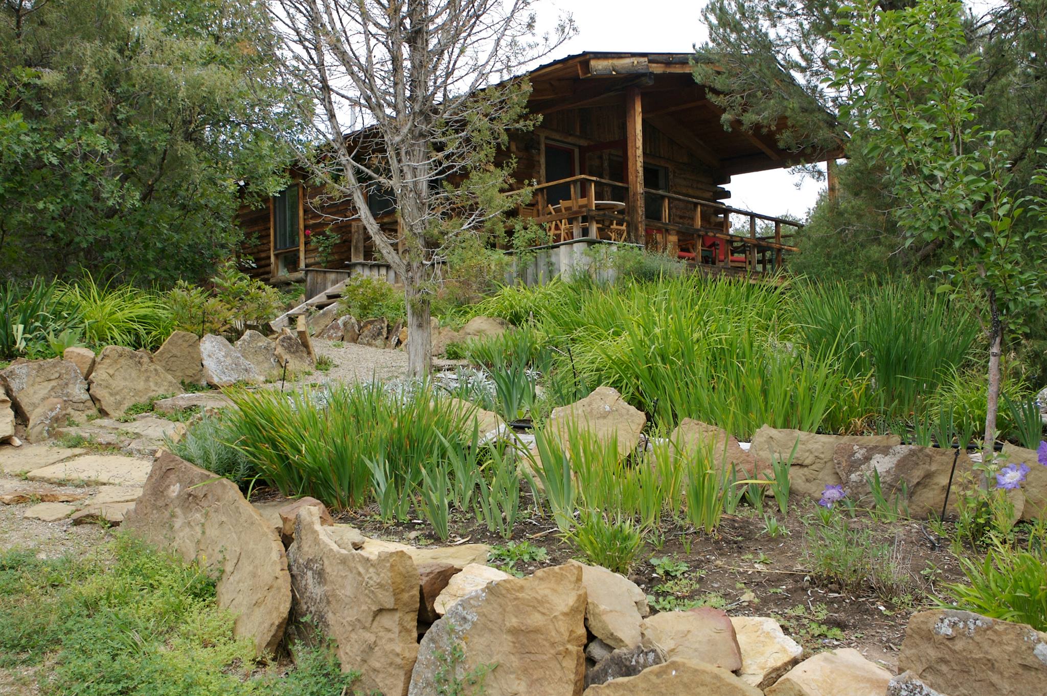 Cabin surrounded by trees