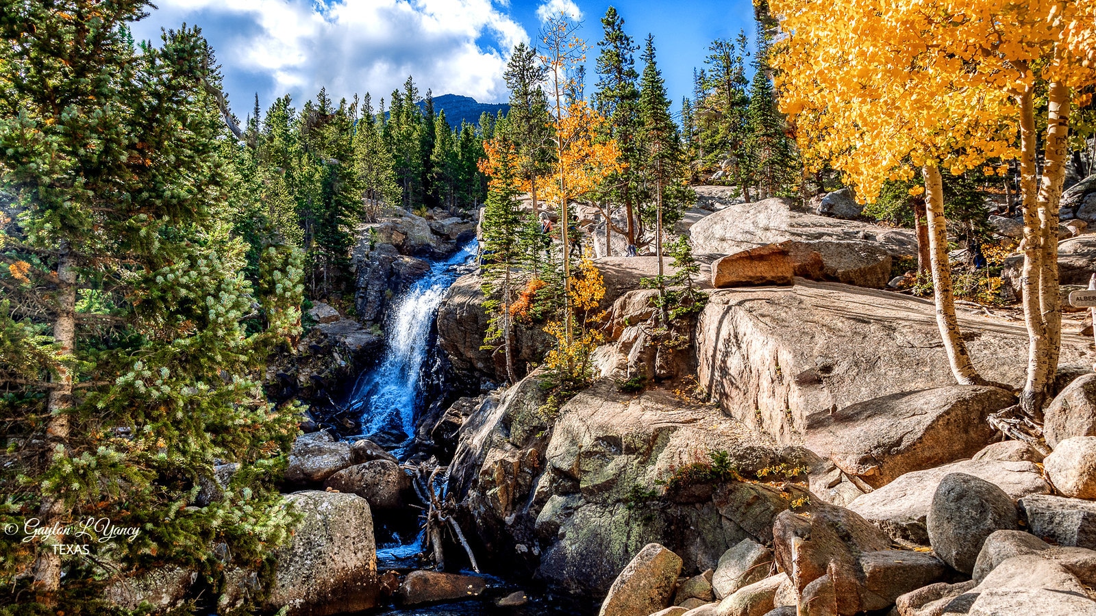 Autumn at Alberta Falls, Colorado