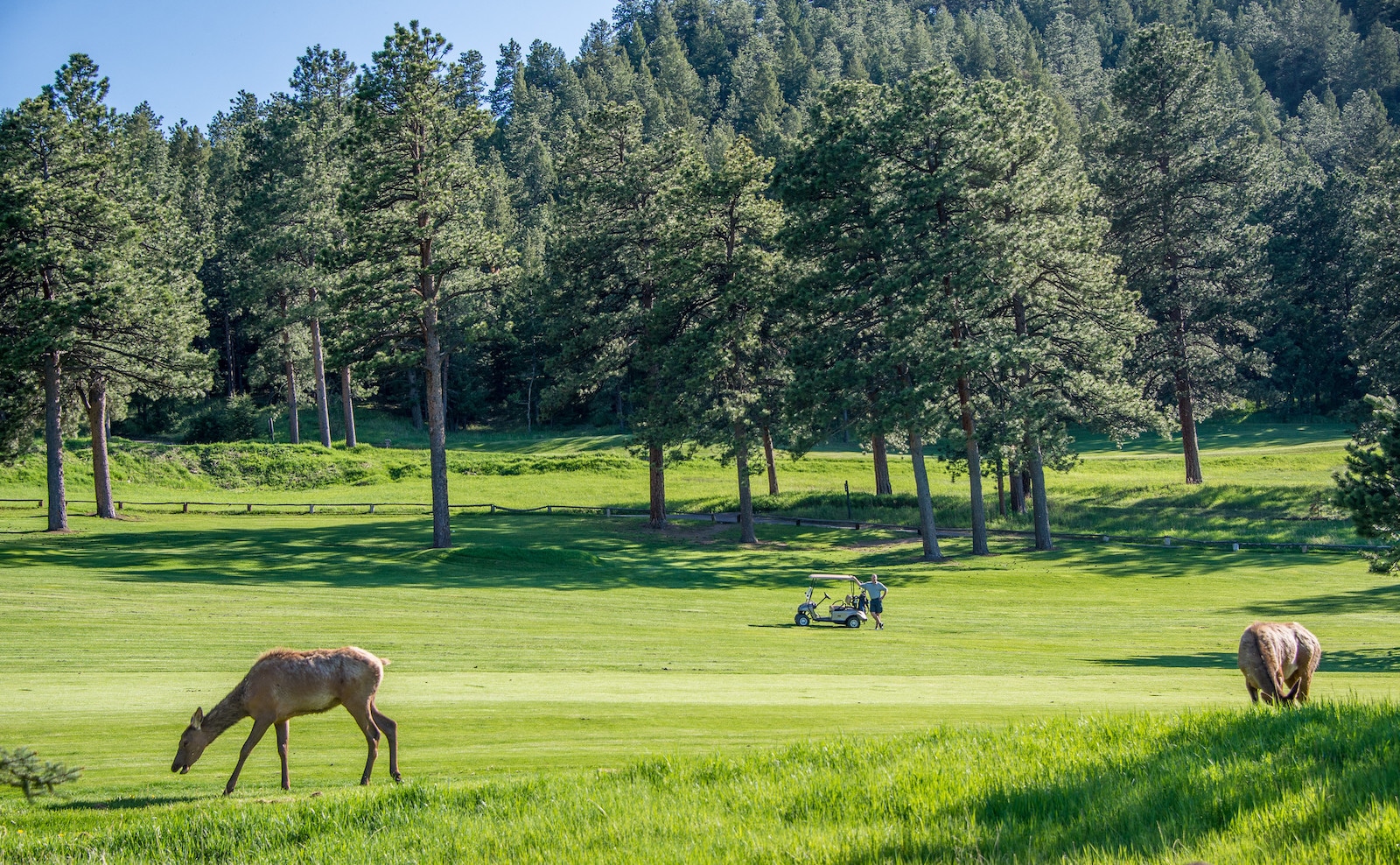 Evergreen Golf Course, Colorado