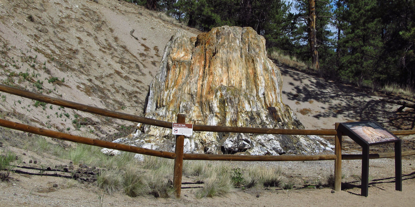 Florissant Fossil Beds National Monument, Colorado