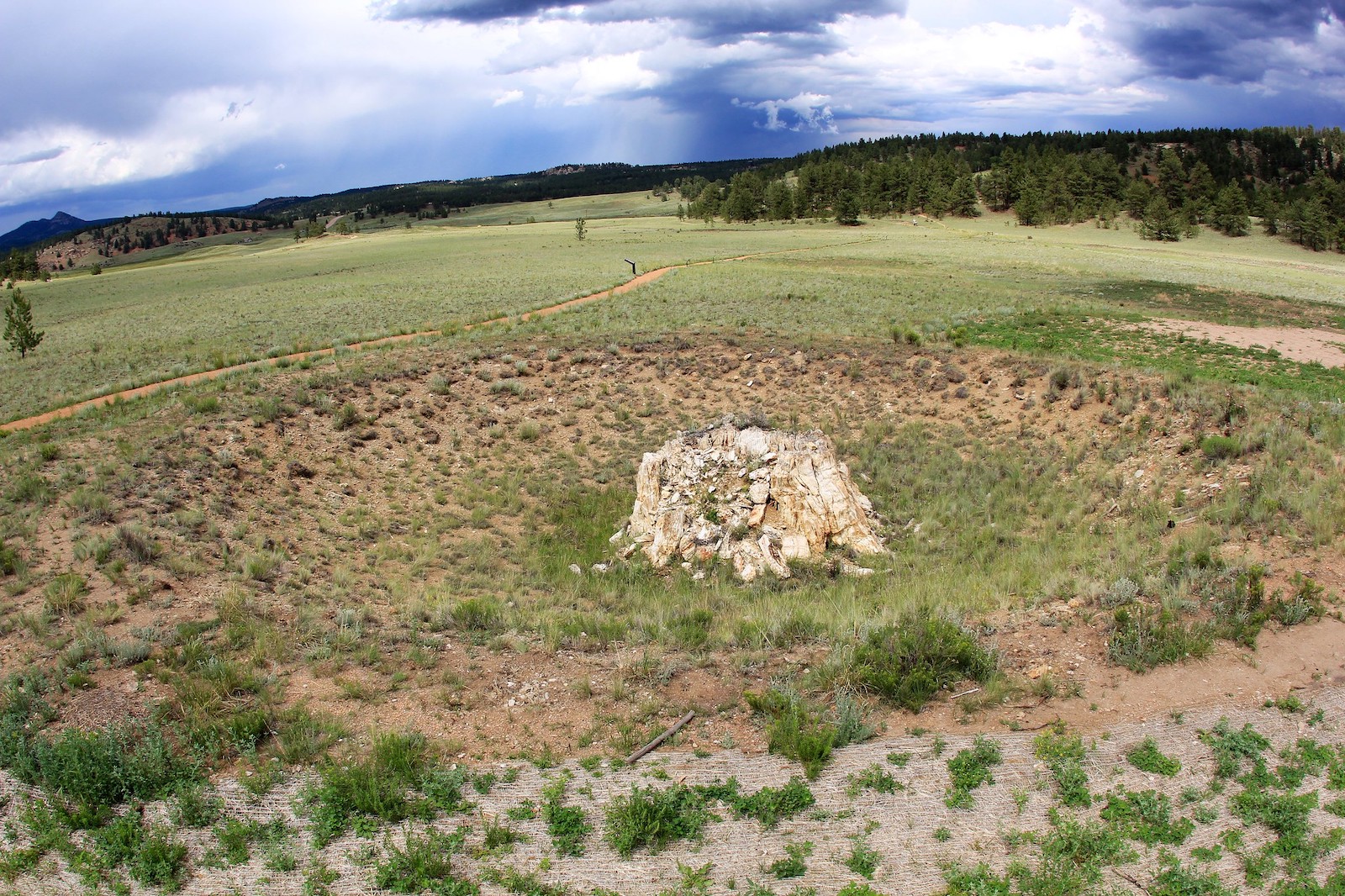 Florissant Fossil Beds National Monument, Colorado