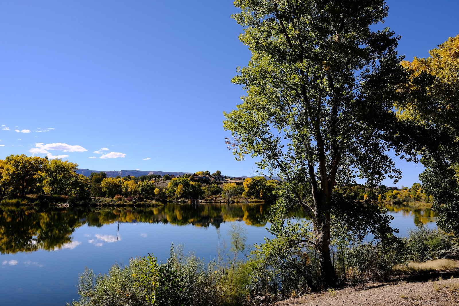 James M. Robb Colorado River State Park - Connected Lakes, Grand Junction