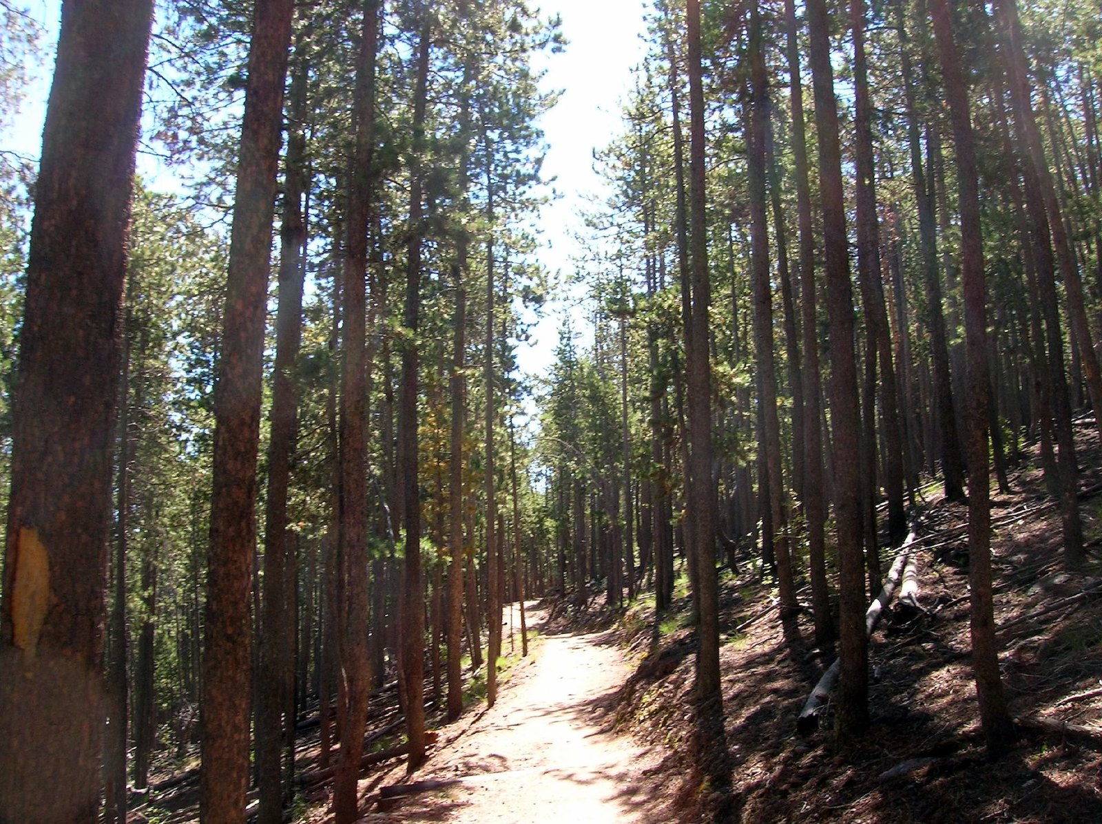 Hiking Alderfer/Three Sisters Park in Evergreen, CO