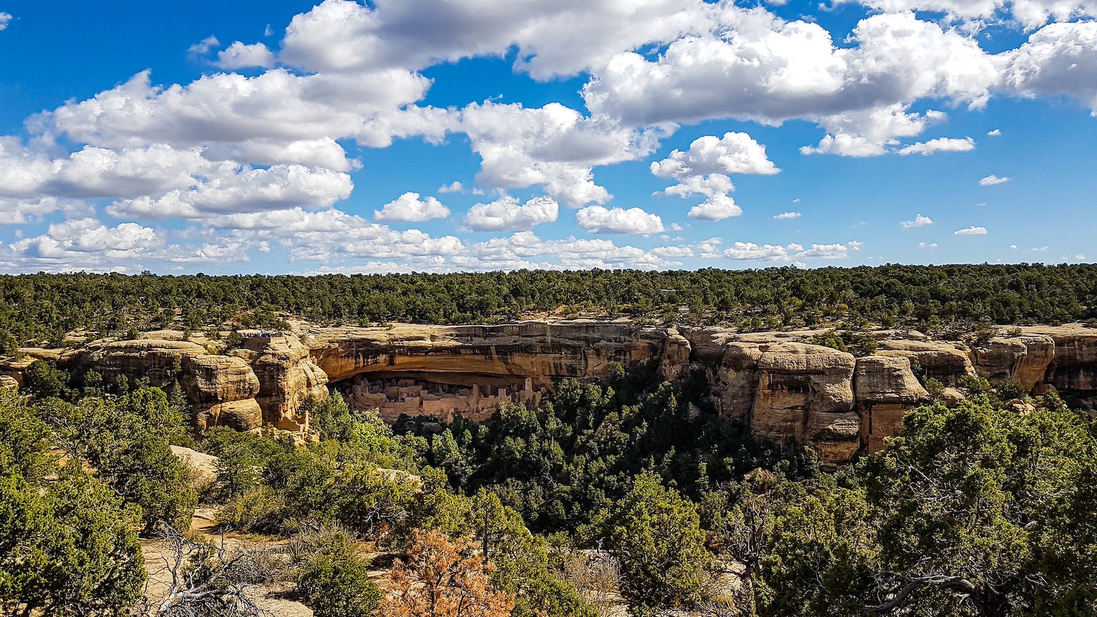 Mesa Verde National Park, CO