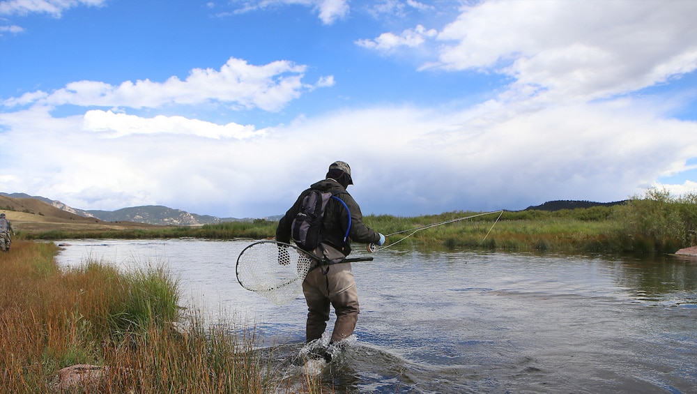 Fisherman wading in a creek