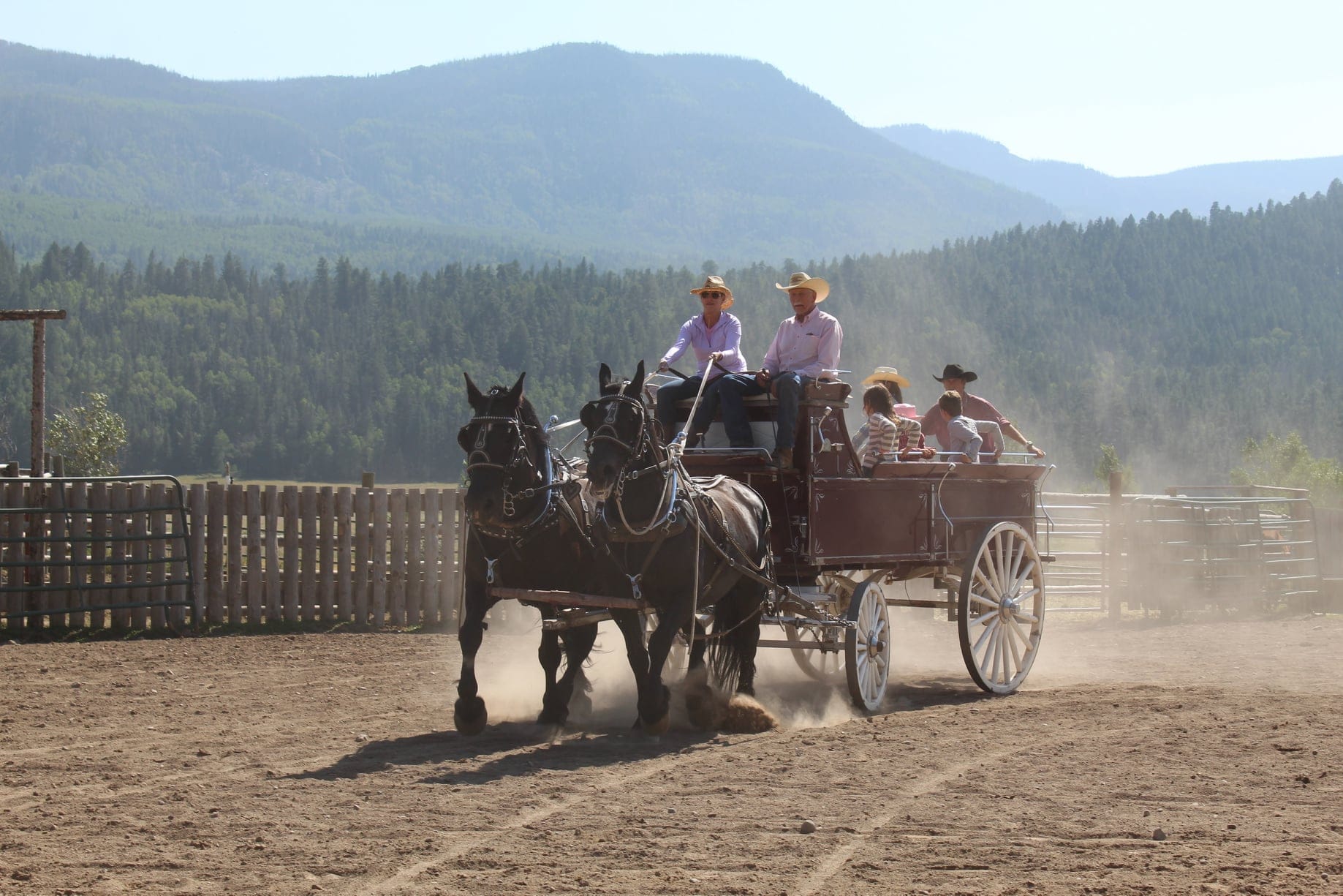 Two horses pulling a carriage